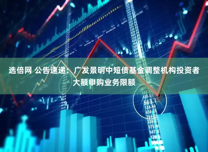 选倍网 公告速递：广发景明中短债基金调整机构投资者大额申购业务限额