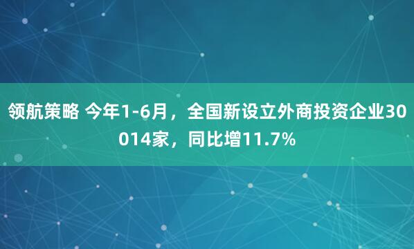 领航策略 今年1-6月，全国新设立外商投资企业30014家，同比增11.7%