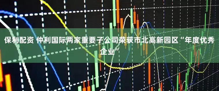保利配资 仲利国际两家重要子公司荣获市北高新园区“年度优秀企业”