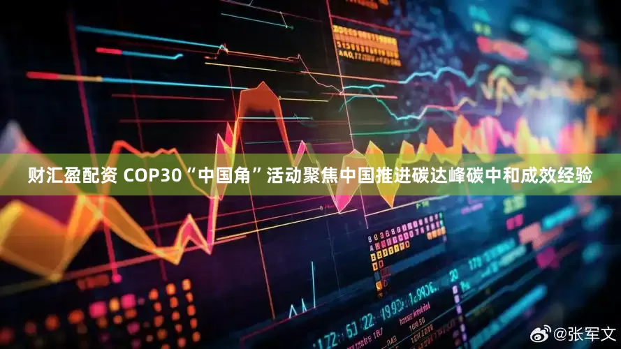 财汇盈配资 COP30“中国角”活动聚焦中国推进碳达峰碳中和成效经验