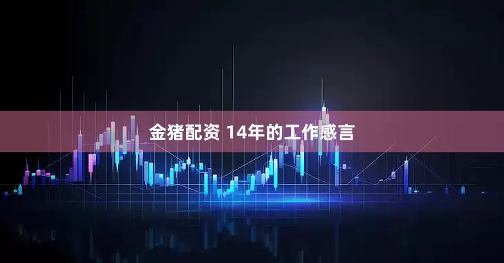 金猪配资 14年的工作感言